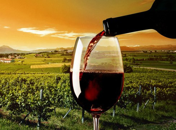 红酒代理前景如何