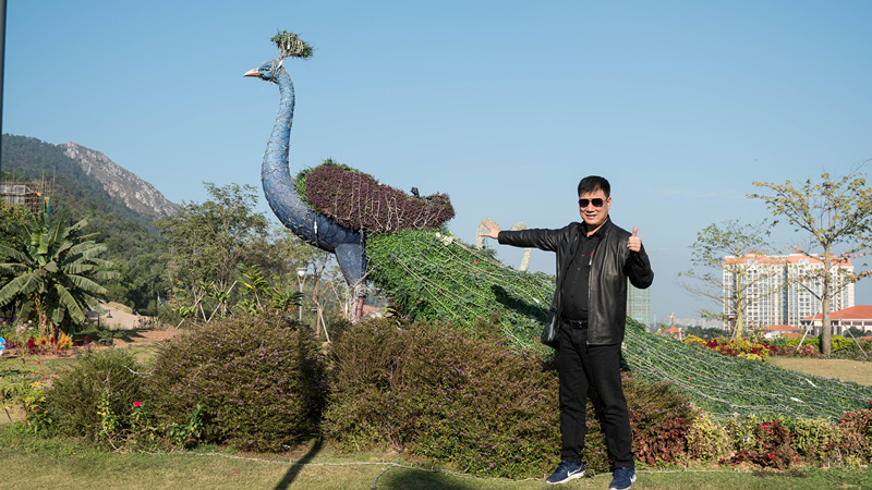 蓝菲精英团队河源国际度假游