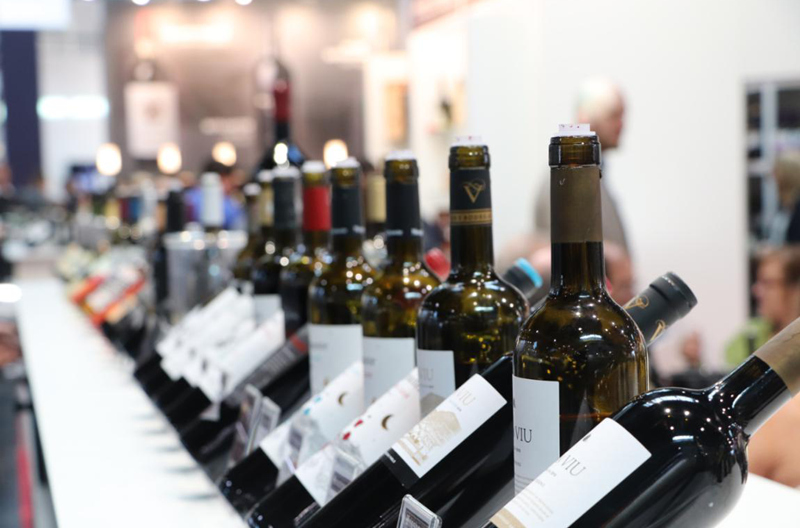 蓝菲考察团欧洲行